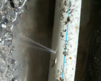 龙南卫生间测漏水多少钱